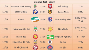 V League giải vô địch bóng đá tại Việt Nam